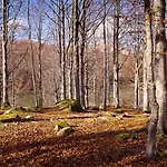 Alpstuga Comfortable In Giarola With Mountain View