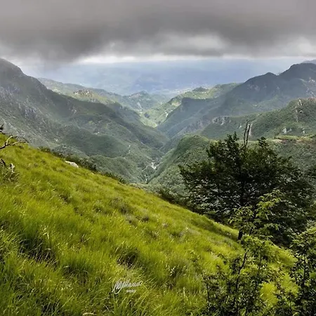 Alpehytte Comfortable In Giarola With Mountain View Busana
