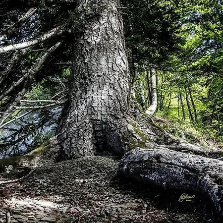 Comfortable In Giarola With Mountain View Chalet