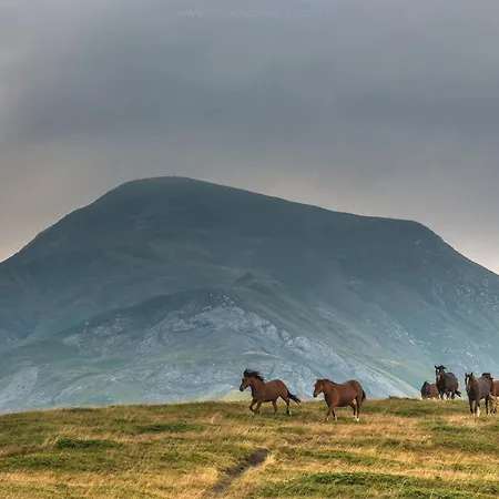 Alpehytte Comfortable In Giarola With Mountain View