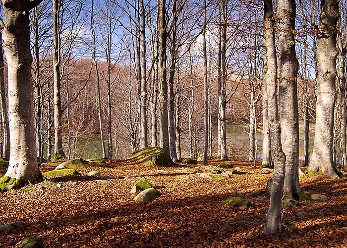 Dağ evi Comfortable In Giarola With Mountain View