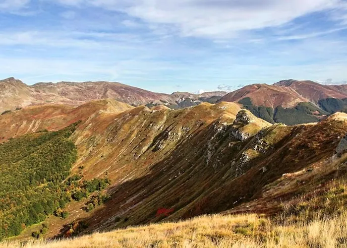 Comfortable In Giarola With Mountain View *