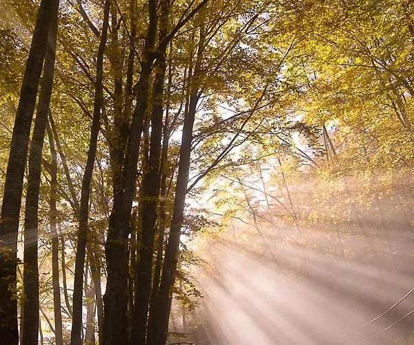 Comfortable In Giarola With Mountain View Busana