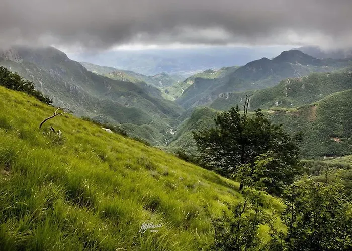 Dağ evi Comfortable In Giarola With Mountain View Busana