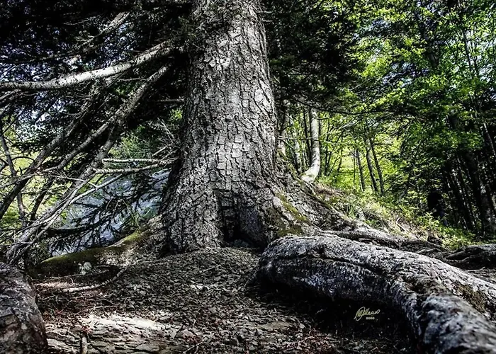 Comfortable In Giarola With Mountain View Alpehytte