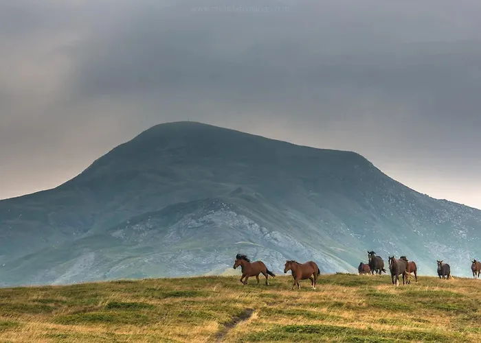 Dağ evi Comfortable In Giarola With Mountain View